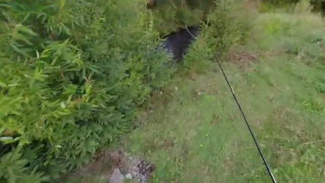 Горные ручьи Трансильвании: нахлыст за форелью и хариусом