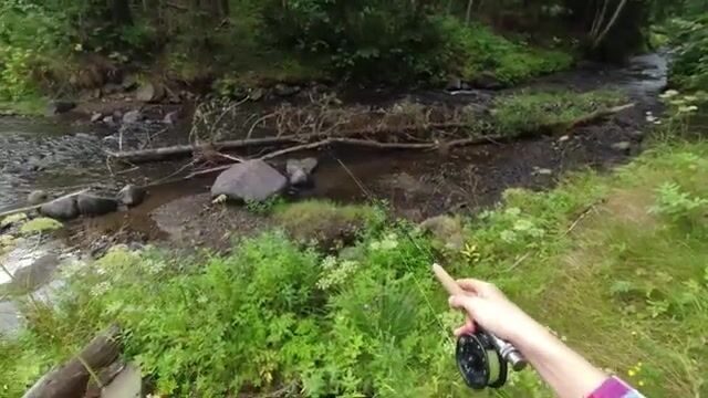 Горные ручьи Трансильвании: нахлыст за форелью и хариусом