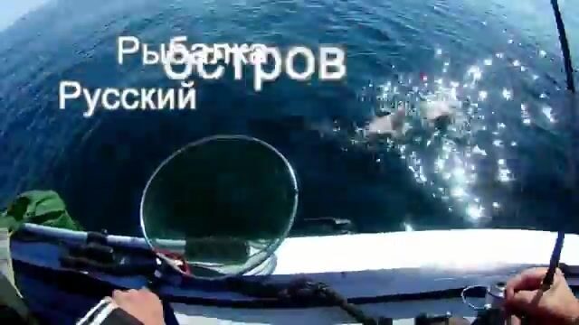 Камбала у мыса Вятлина на Русском острове: хороший клев до сильного ветра