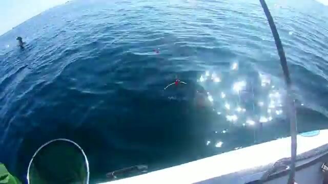Камбала у мыса Вятлина на Русском острове: хороший клев до сильного ветра