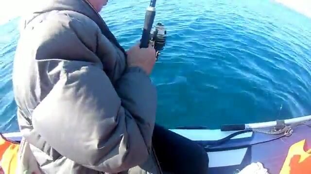 Камбала у мыса Вятлина на Русском острове: хороший клев до сильного ветра
