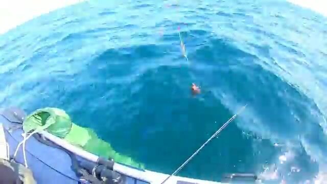 Камбала у мыса Вятлина на Русском острове: хороший клев до сильного ветра