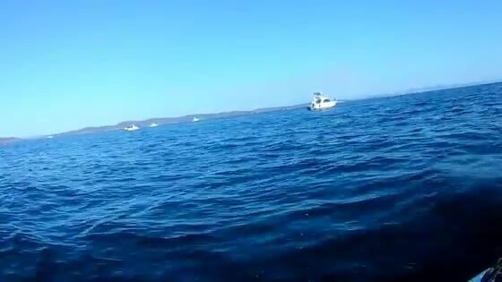 Камбала у мыса Вятлина на Русском острове: хороший клев до сильного ветра