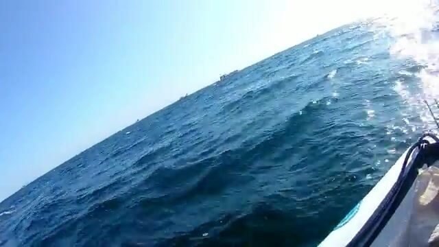 Камбала у мыса Вятлина на Русском острове: хороший клев до сильного ветра