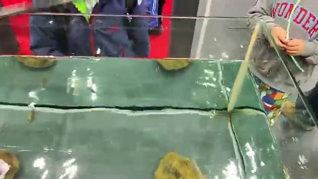 Fishing Show Osaka 2025: японская выставка снастей, сборка удилищ и ловля форели в аквариуме