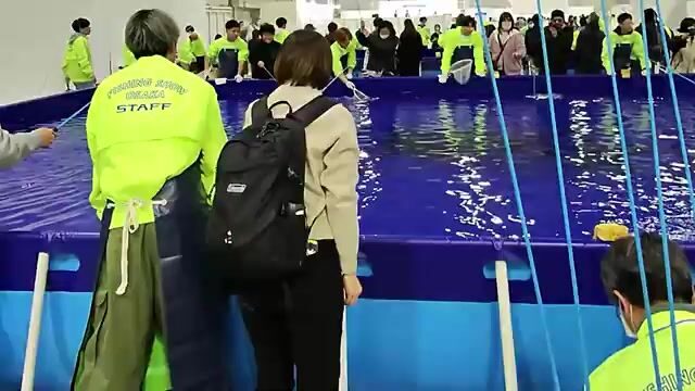 Fishing Show Osaka 2025: японская выставка снастей, сборка удилищ и ловля форели в аквариуме