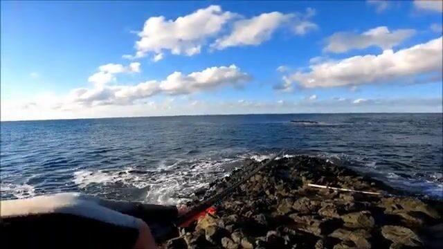 Ловля саргана на спиннинг у Синопа: сильный ветер, приманка 14 граммов и ставрида у берега