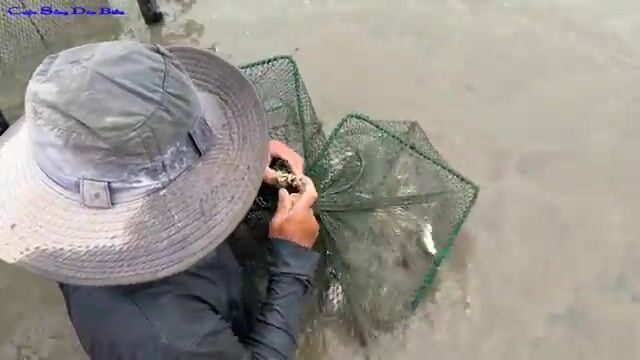 Возвращение рыбаков в сезон дождей: свежая рыба и семейный ужин в деревне у Лонгхая