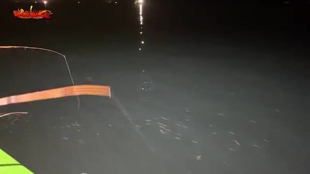Ночной выход за кальмаром на островах Кото: рыбалка и ужин на борту