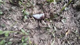 На мотоцикле к ручью в Уругвае: рыбалка после нескольких дождливых дней
