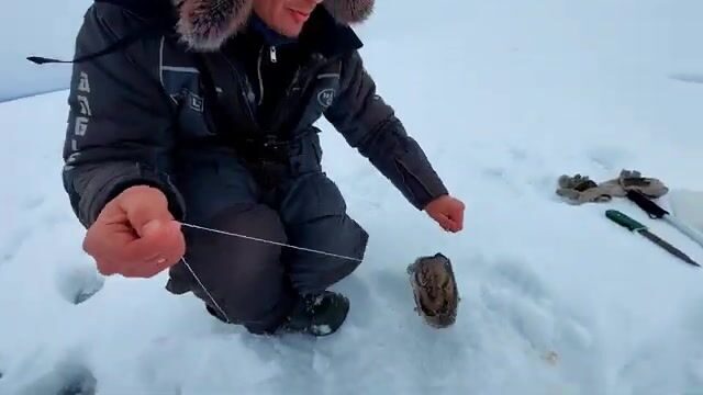 Зимняя рыбалка на налима в Онежском заливе Белого моря: корюшка на джиге и ночевка на льду