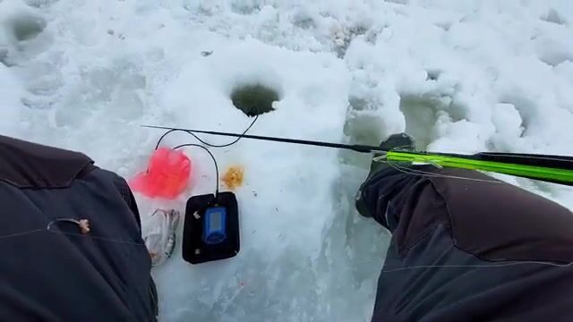 Зимняя рыбалка на налима в Онежском заливе Белого моря: корюшка на джиге и ночевка на льду