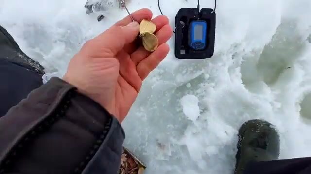 Зимняя рыбалка на налима в Онежском заливе Белого моря: корюшка на джиге и ночевка на льду