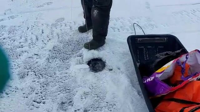 Зимняя рыбалка на налима в Онежском заливе Белого моря: корюшка на джиге и ночевка на льду