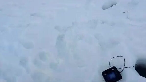 Зимняя рыбалка на налима в Онежском заливе Белого моря: корюшка на джиге и ночевка на льду