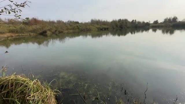 Чужая леска и неожиданная щука: находка во время рыбалки на озере в Грузии