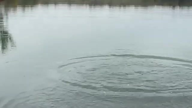 Чужая леска и неожиданная щука: находка во время рыбалки на озере в Грузии