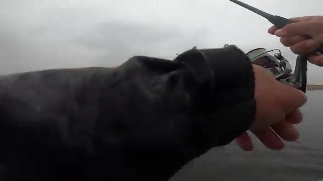 Крупная щука в дельте Дуная: два дня на лодке у Stația 11
