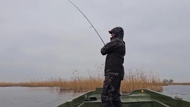 Крупная щука в дельте Дуная: два дня на лодке у Stația 11