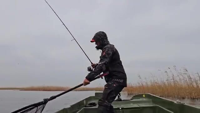 Крупная щука в дельте Дуная: два дня на лодке у Stația 11