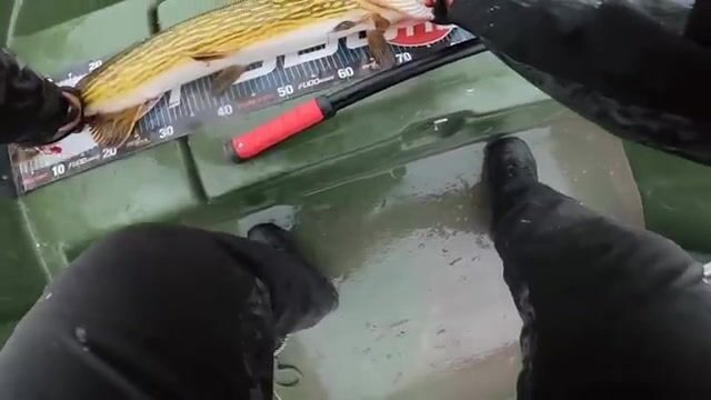 Крупная щука в дельте Дуная: два дня на лодке у Stația 11
