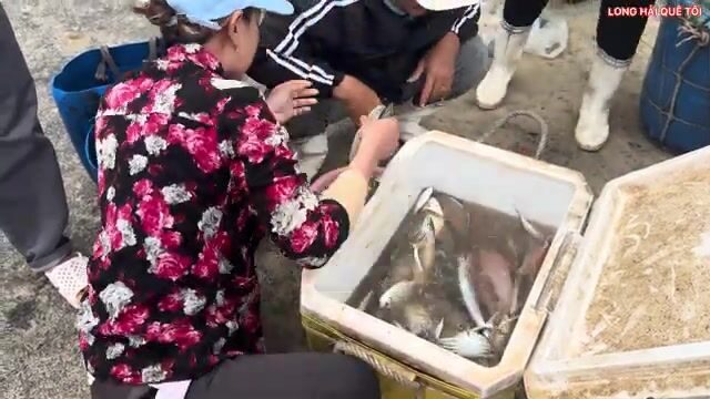 Ветреное утро в Лонгхае: возвращение крабовых лодок и разбор сетей перед непогодой