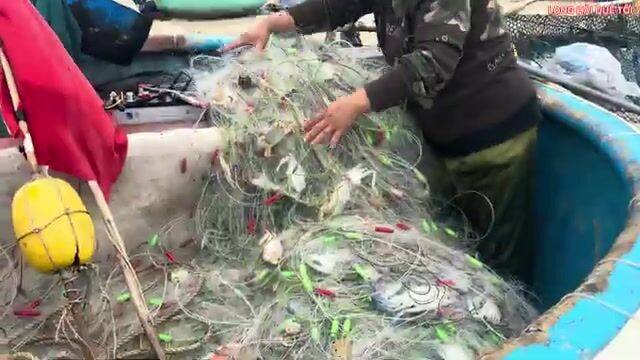 Ветреное утро в Лонгхае: возвращение крабовых лодок и разбор сетей перед непогодой