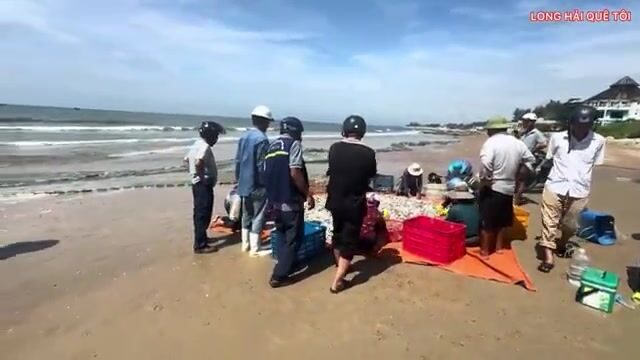 Береговой невод в Лонгхае: две рыбацкие команды, разный улов и обед на пляже