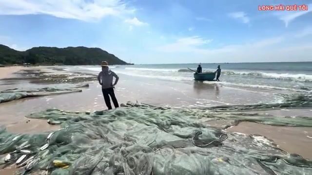 Береговой невод в Лонгхае: две рыбацкие команды, разный улов и обед на пляже