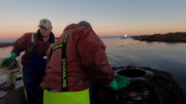 Промысел лангуста у скал Педра-Бранка в Тасмании: глубокие ловушки и необычная помеха