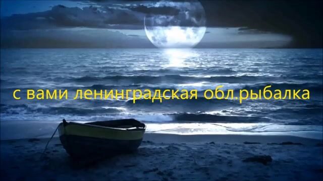 Окунь и щука на Онежском озере в июле: рыбалка на джиг среди травы и поиск хищника у свала