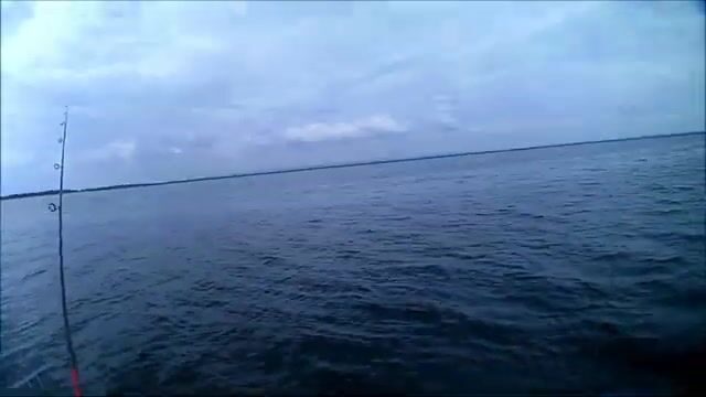 Окунь и щука на Онежском озере в июле: рыбалка на джиг среди травы и поиск хищника у свала