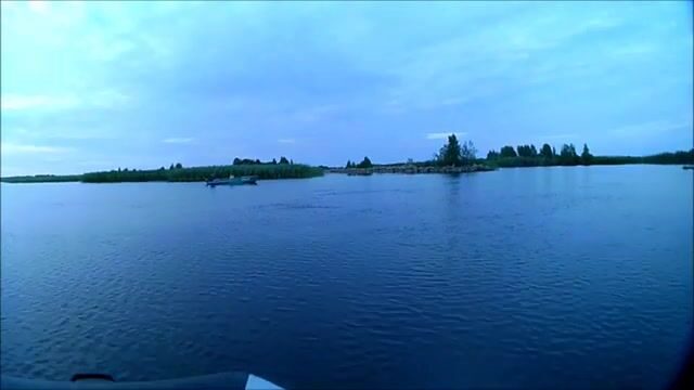 Окунь и щука на Онежском озере в июле: рыбалка на джиг среди травы и поиск хищника у свала