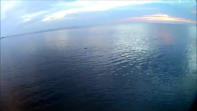 Окунь и щука на Онежском озере в июле: рыбалка на джиг среди травы и поиск хищника у свала