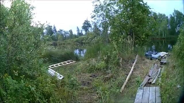 Окунь и щука на Онежском озере в июле: рыбалка на джиг среди травы и поиск хищника у свала