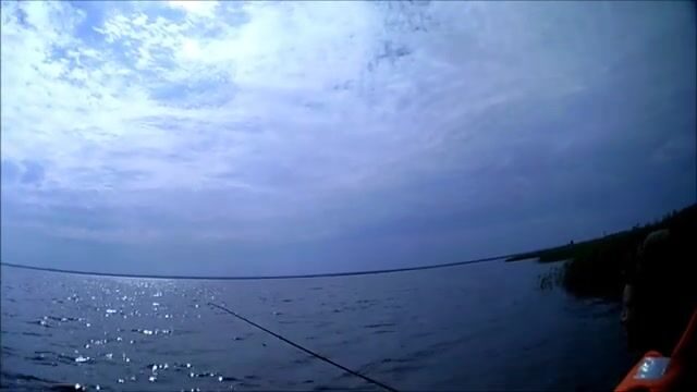 Окунь и щука на Онежском озере в июле: рыбалка на джиг среди травы и поиск хищника у свала