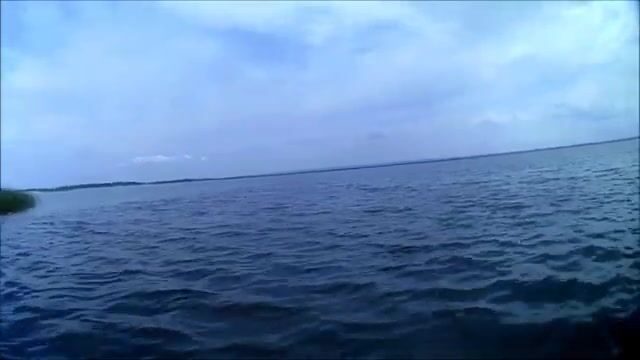 Окунь и щука на Онежском озере в июле: рыбалка на джиг среди травы и поиск хищника у свала
