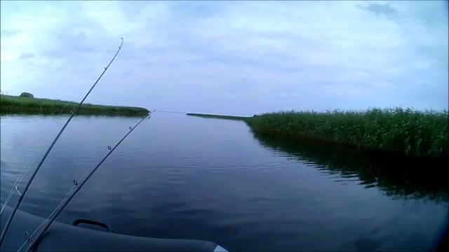 Окунь и щука на Онежском озере в июле: рыбалка на джиг среди травы и поиск хищника у свала
