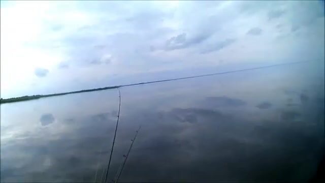 Окунь и щука на Онежском озере в июле: рыбалка на джиг среди травы и поиск хищника у свала