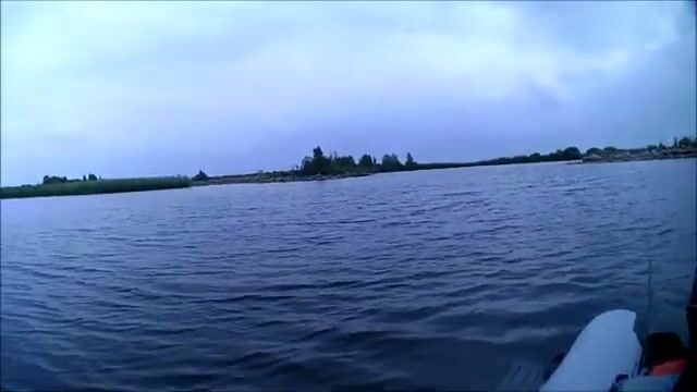 Окунь и щука на Онежском озере в июле: рыбалка на джиг среди травы и поиск хищника у свала