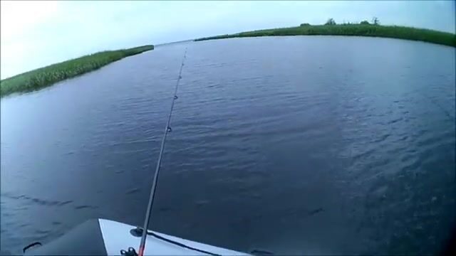 Окунь и щука на Онежском озере в июле: рыбалка на джиг среди травы и поиск хищника у свала