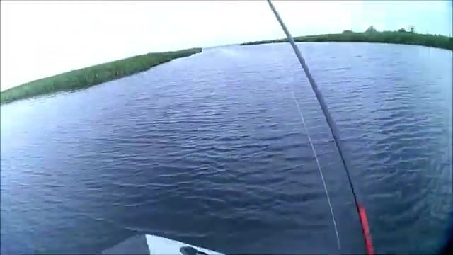 Окунь и щука на Онежском озере в июле: рыбалка на джиг среди травы и поиск хищника у свала