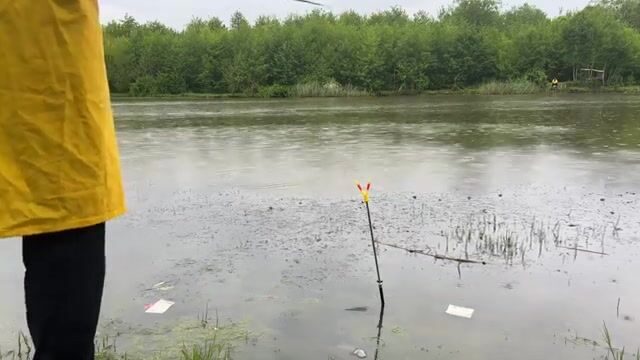 Карась под дождем на реке Капарчина в Поти: непростой берег и хороший улов