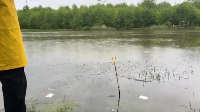 Карась под дождем на реке Капарчина в Поти: непростой берег и хороший улов