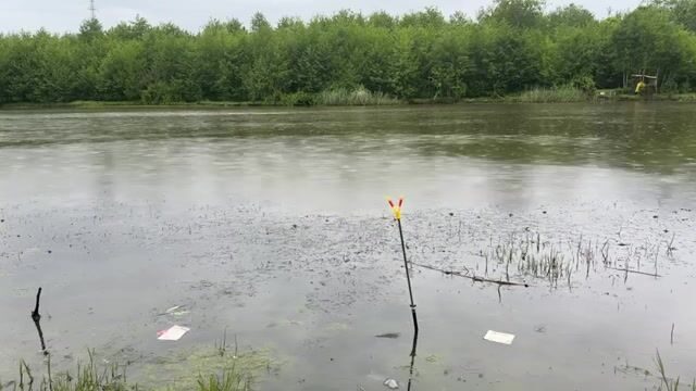 Карась под дождем на реке Капарчина в Поти: непростой берег и хороший улов