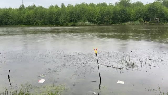 Карась под дождем на реке Капарчина в Поти: непростой берег и хороший улов