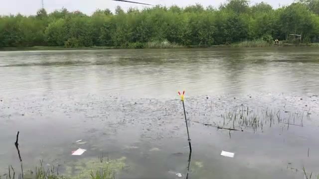 Карась под дождем на реке Капарчина в Поти: непростой берег и хороший улов