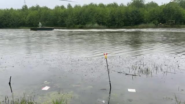 Карась под дождем на реке Капарчина в Поти: непростой берег и хороший улов