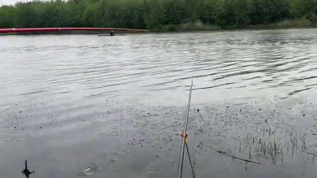 Карась под дождем на реке Капарчина в Поти: непростой берег и хороший улов