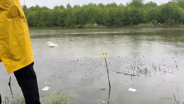 Карась под дождем на реке Капарчина в Поти: непростой берег и хороший улов